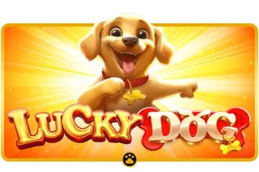 c444 game